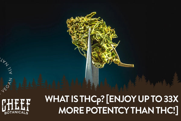 What Is THCp & Is It Really 33 Times Stronger Than THC?