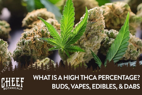 What is a High THCa Percentage? Examining High Potencies