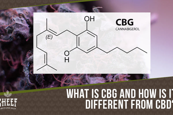What Is CBG? The Ultimate Guide