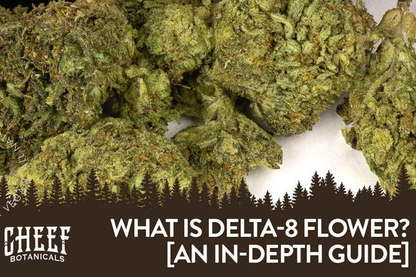 What Is Delta-8 Hemp Flower? [An In-Depth Guide]