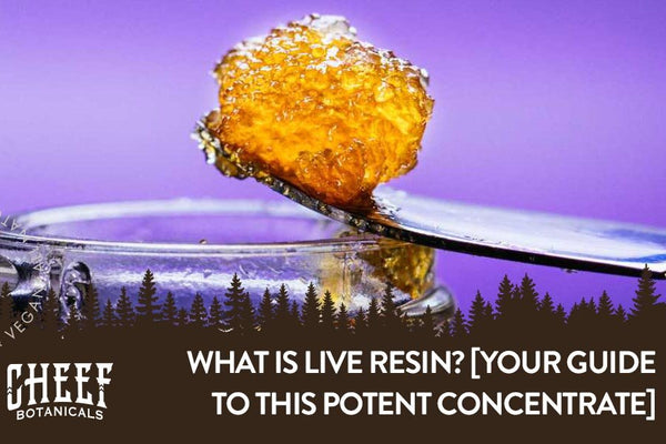 What Is Live Resin and How Is It Different From Other Extracts?
