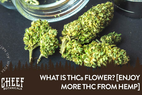 What Is THCa Flower? [Get More THC From Hemp]