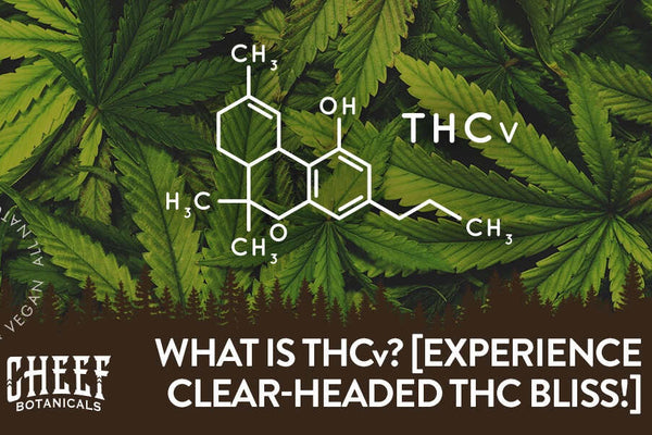 What Is THCv? The Cannabinoid That Won’t Slow You Down