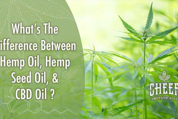 Whats The Difference Between Hemp Oil And CBD Oil