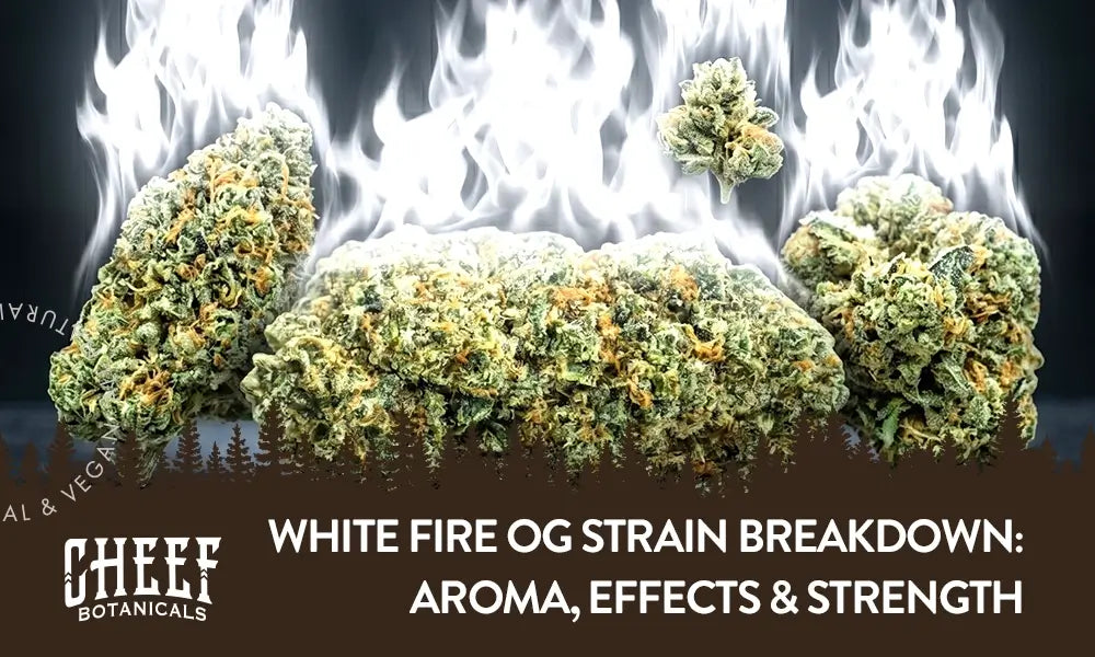 White Fire OG Strain featured blog image by Cheef Botanicals. Shows WIFI OG buds with a white white flame hovering above them.