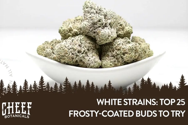 White Strains: Top 25 Frosty-Coated Buds To Try