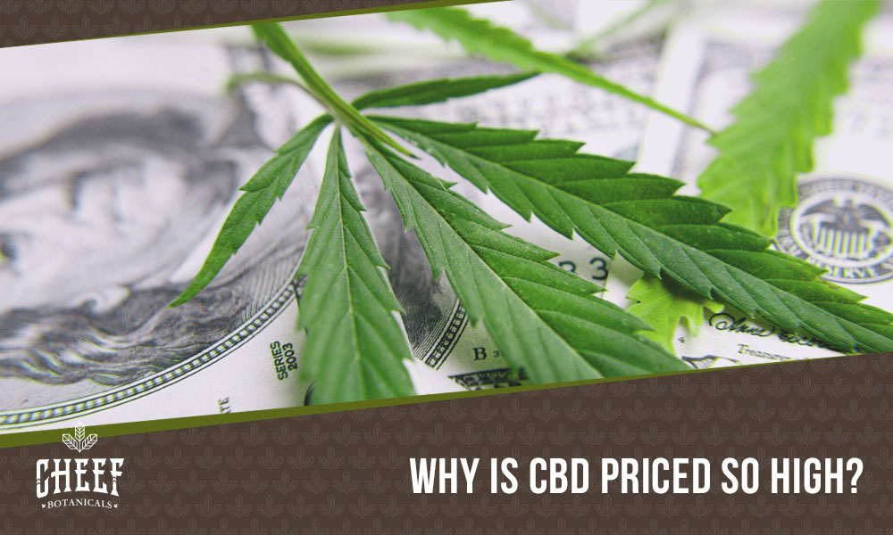 Featured blog image by Cheef Botanicals showing a cannabis leaf on U.S. dollar bills with the text “Why Is CBD Priced So High?” highlighting why is cbd so expensive.
