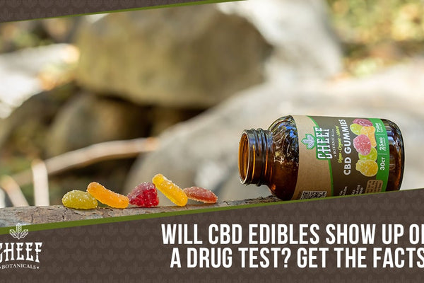 Will CBD Edibles Show Up on a Drug Test? [It's Highly Unlikely!]