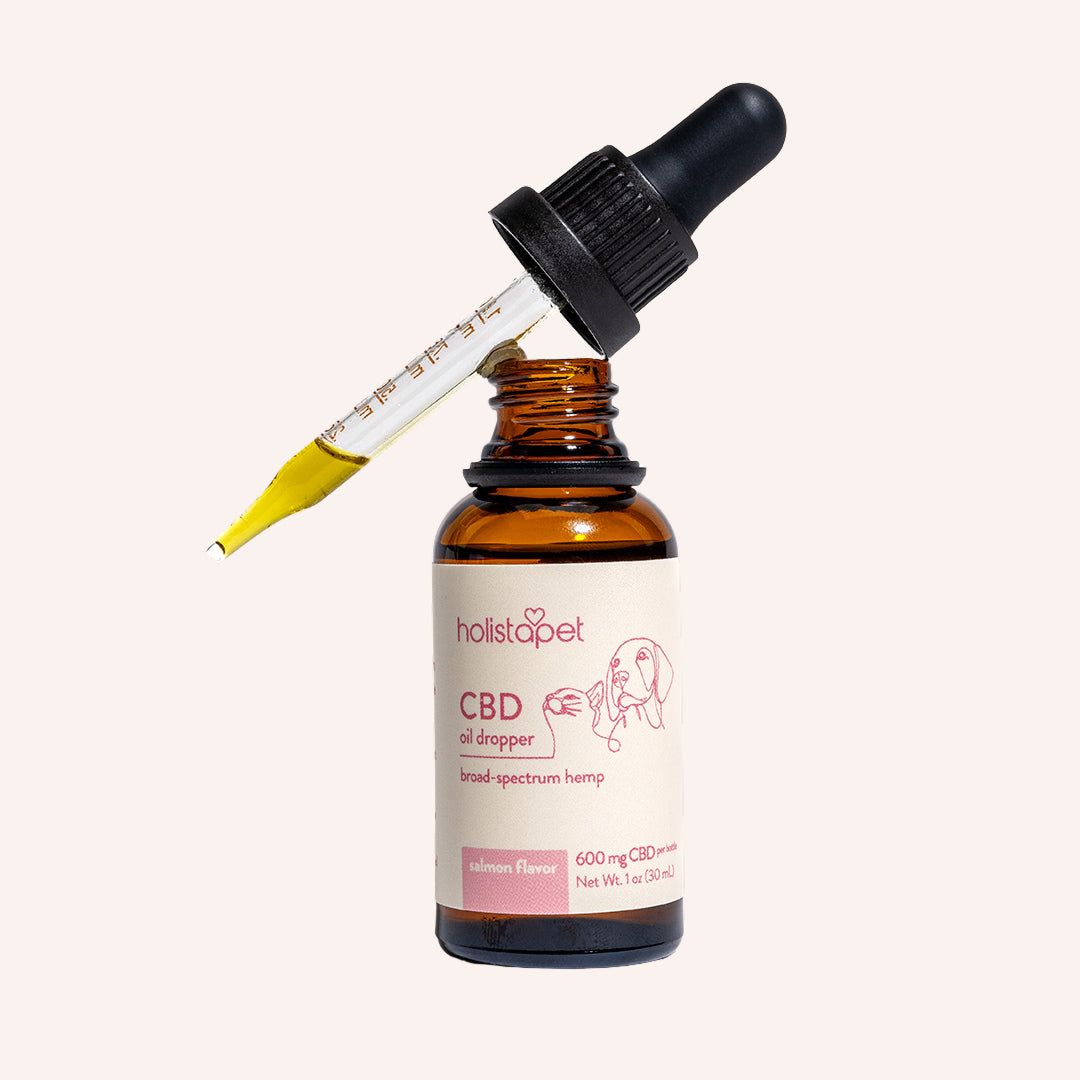 Salmon Flavored CBD Oil For Cats - Holistapet