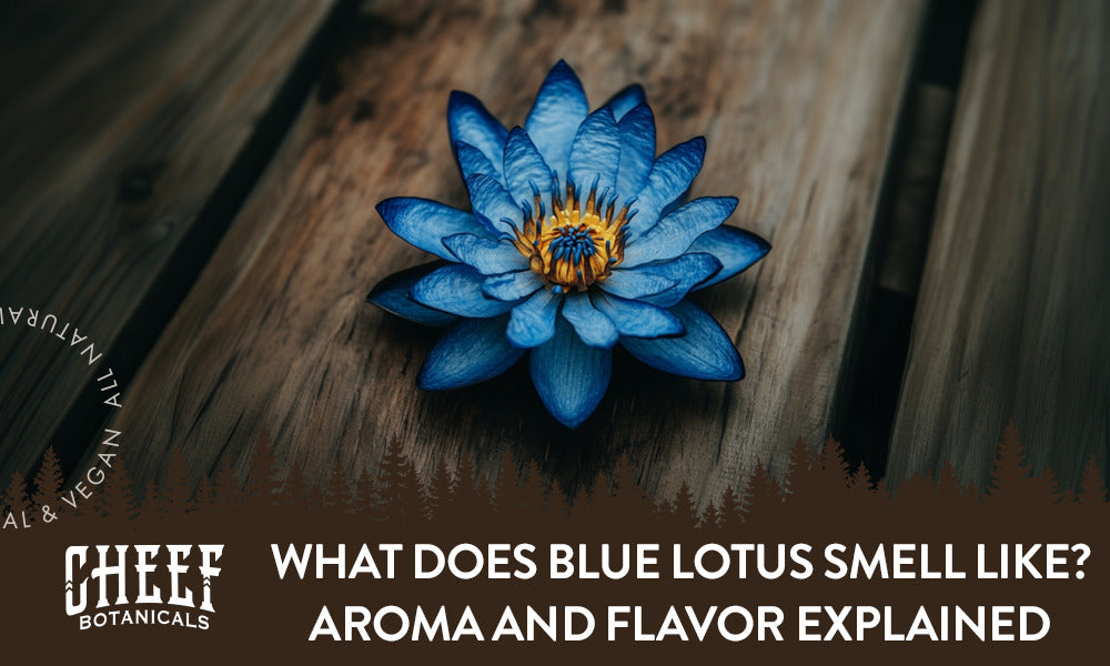 What’s Blue Lotus Tea?