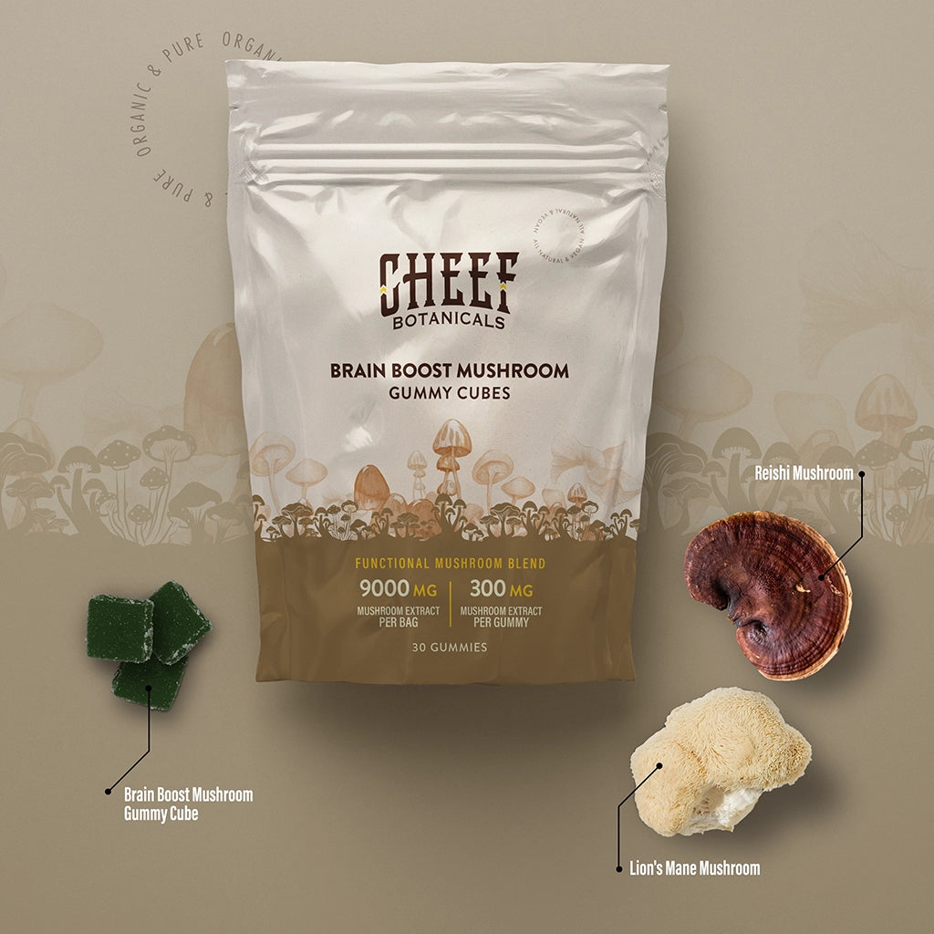 CB Mush Brain Pro Gal Single