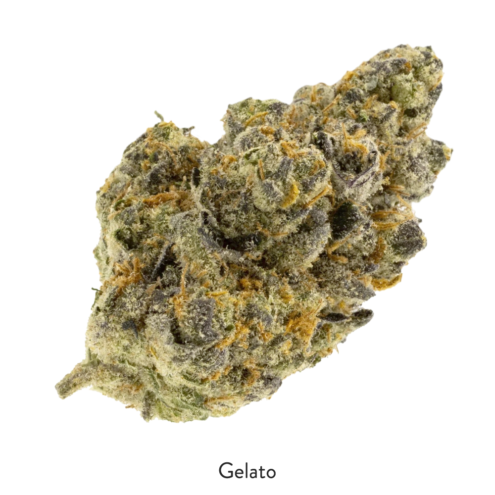 Gelato THCa Flower - Cheef Botanicals
