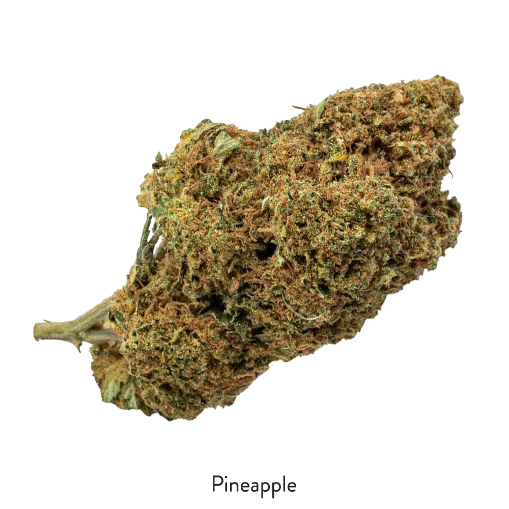 Pineapple thca flower - Cheef Botanicals