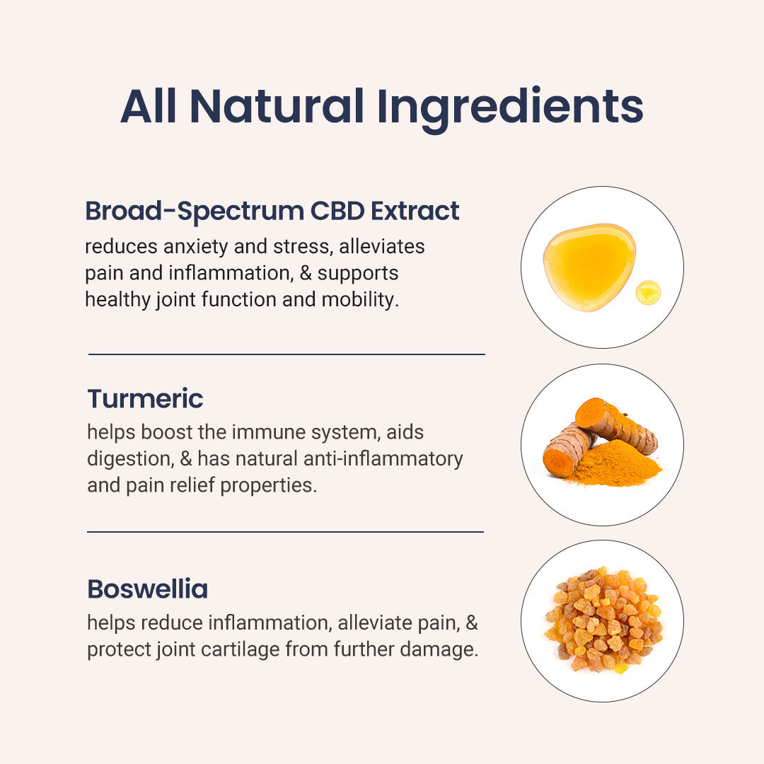 CBD Mobility Chews for Dogs - Holistapet