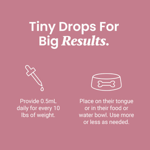 Chicken Flavored CBD Oil For Dogs - HolistaPet