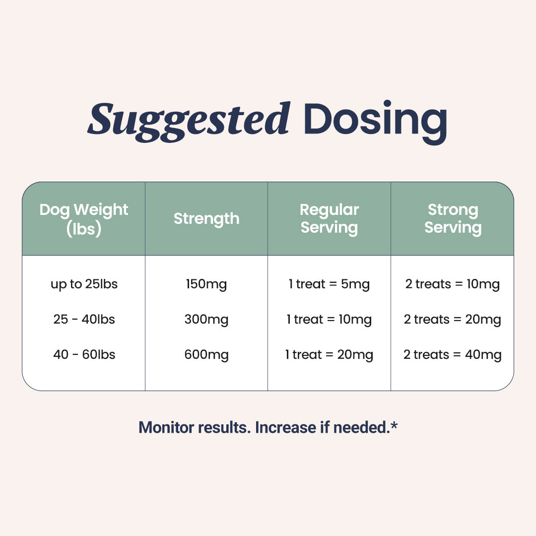 CBD Dog Treats for Anxiety - HolistaPet