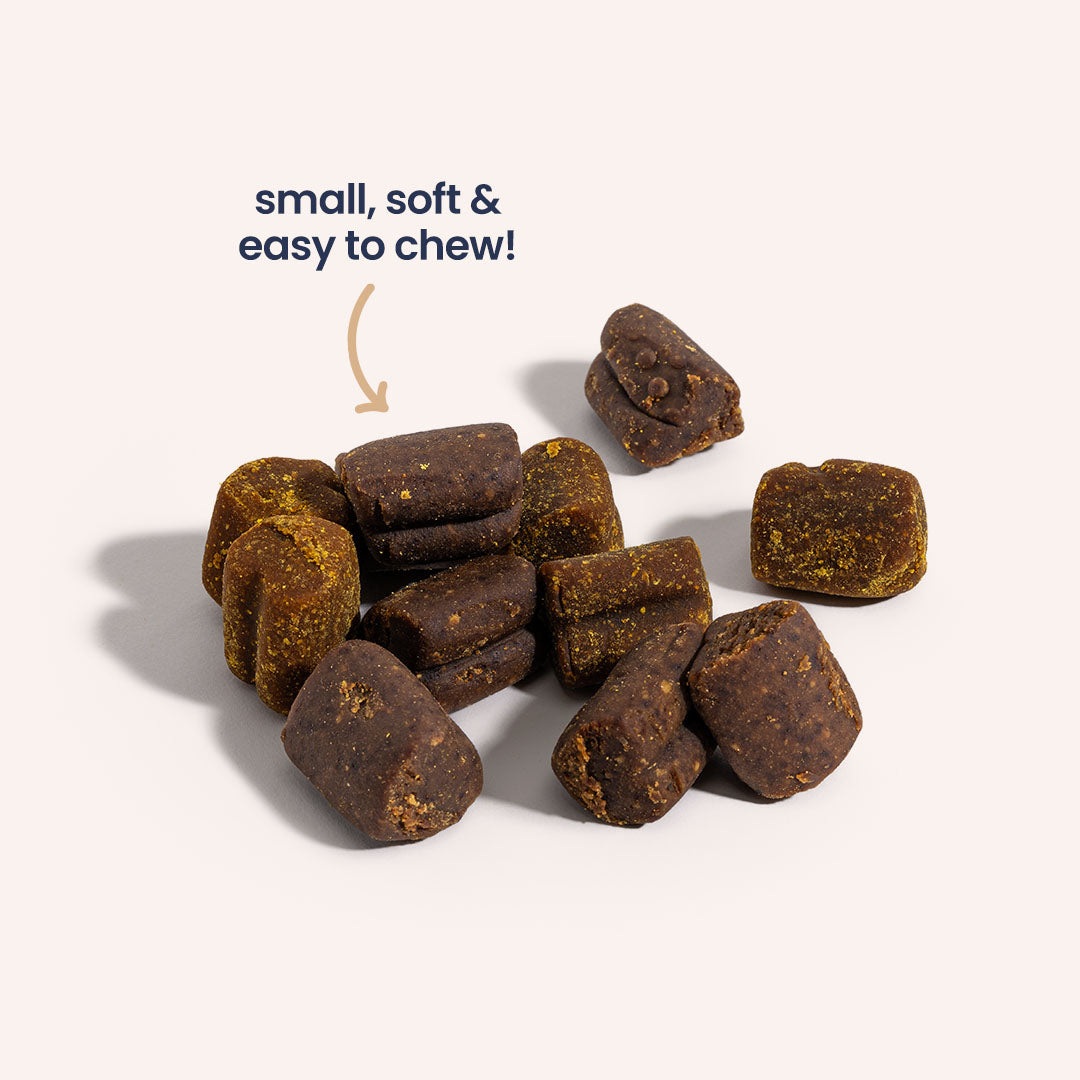 CBD Mobility Chews for Dogs - HolistaPet