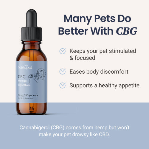 CBG Oil for Dogs and Cats - HolistaPet