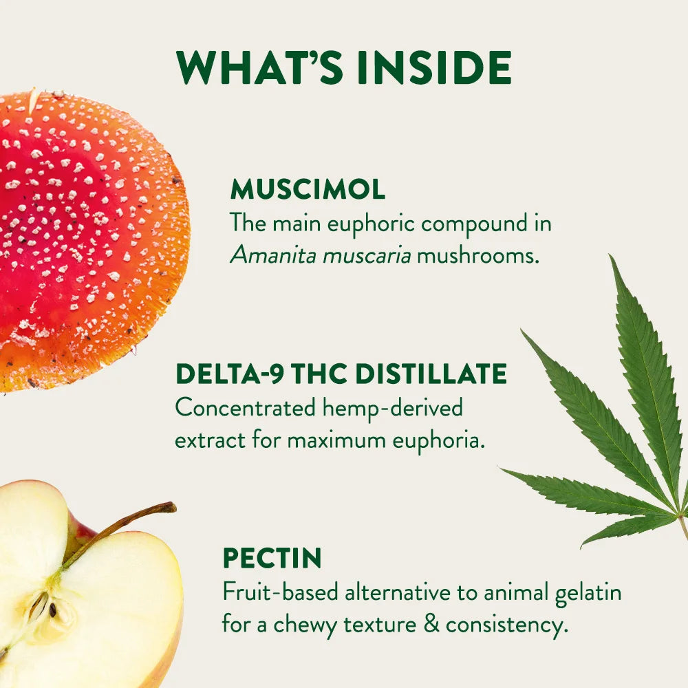 Amanita Muscaria + D9 Gummies - Cheef Botanicals