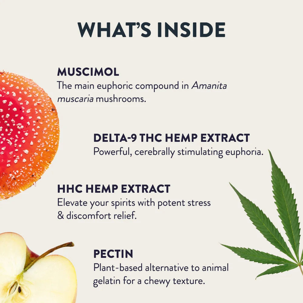 Amanita muscaria + Delta-9 THC + HHC Gummy Cubes - Cheef Botanicals