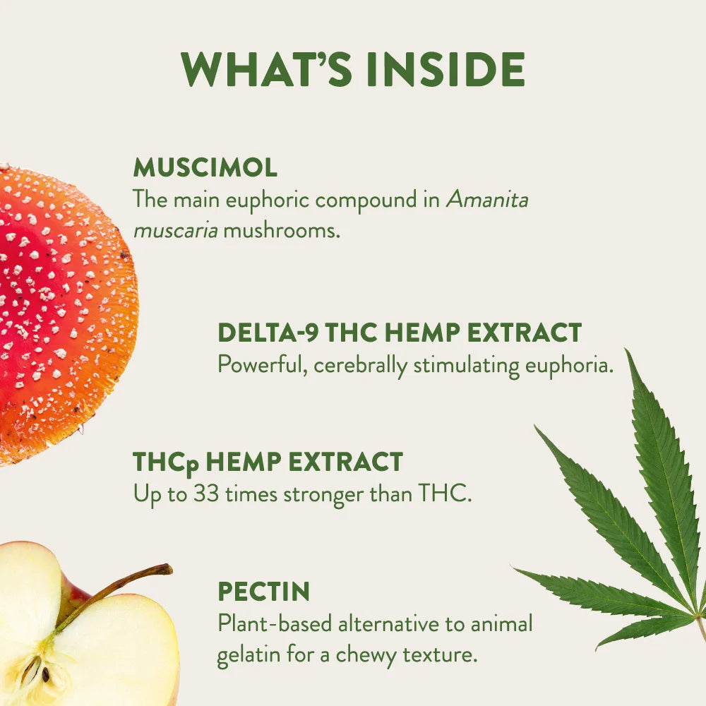 THCp + Delta-9 THC + HHC Gummies - Cheef Botanicals