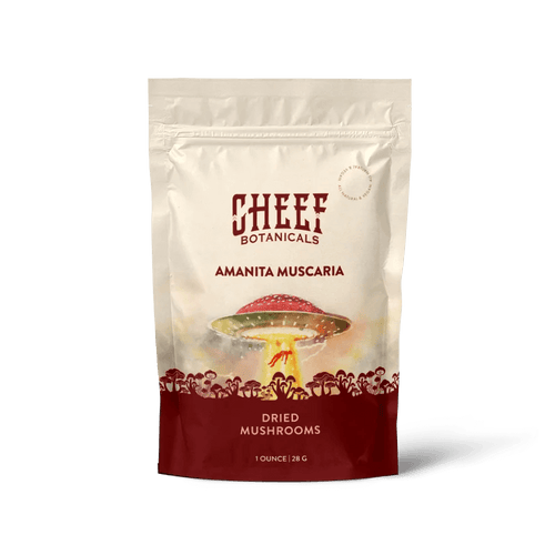 Amanita Muscaria Dried Mushroom Caps - Excellent Choice