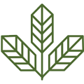 Cheef Botanicals logo