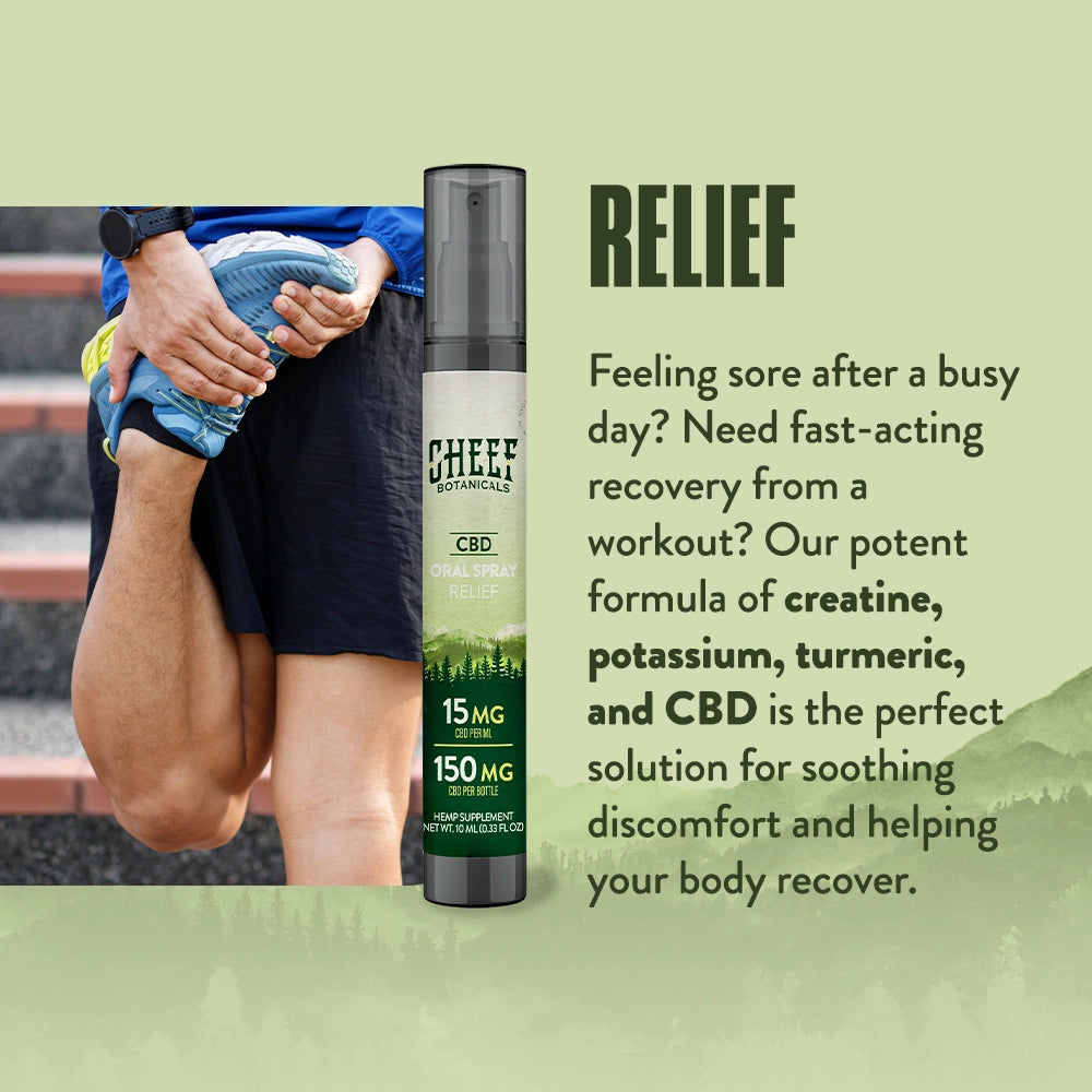 Relief CBD Oral Spray - Cheef Botanicals