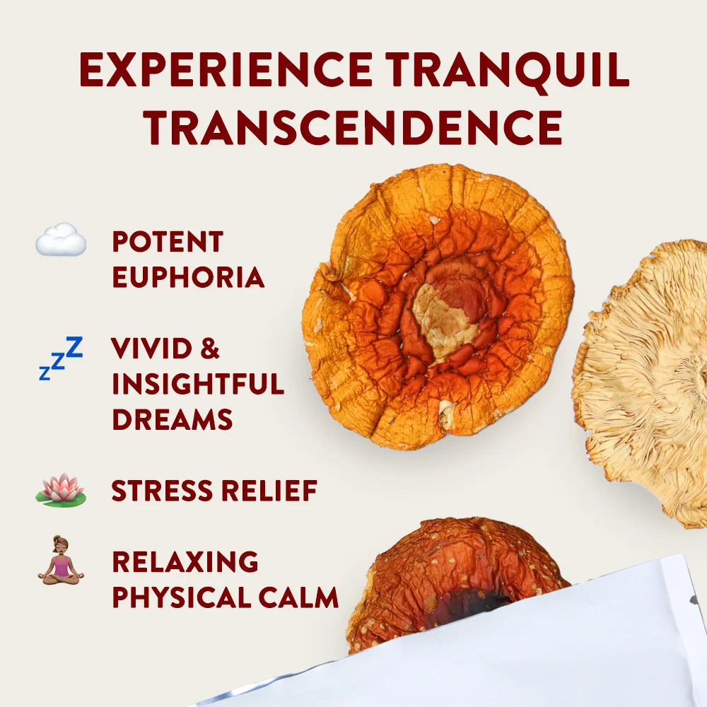 Amanita Dried Mushroom - Cheef Botanicals