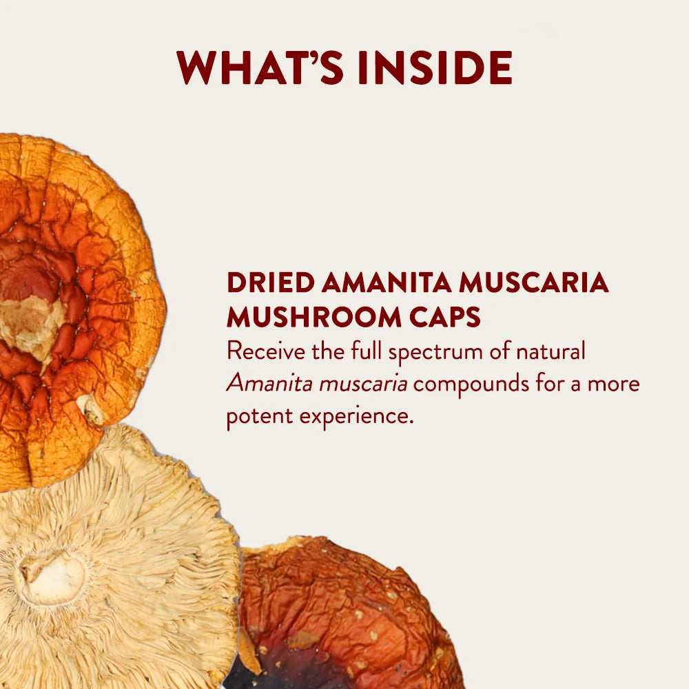 Amanita Dried Mushroom - Cheef Botanicals