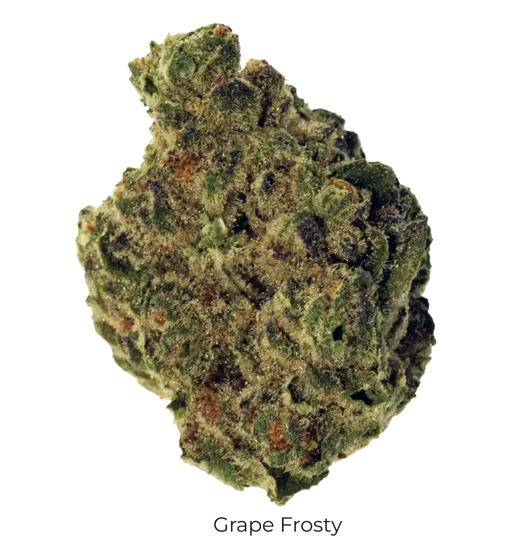 Grape Frosty THCa Flower - Cheef Botanicals
