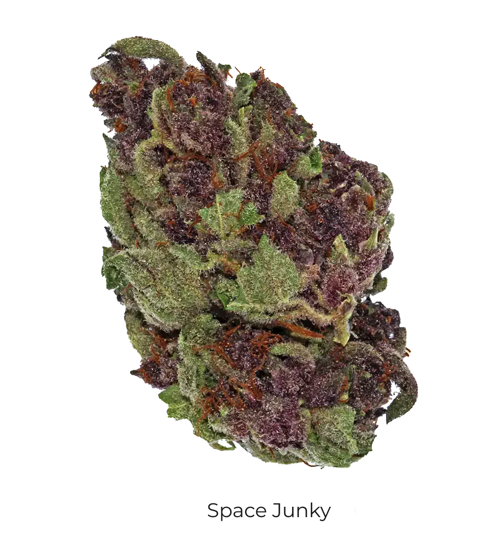 Space Junkie THCa Flower - Cheef Botanicals