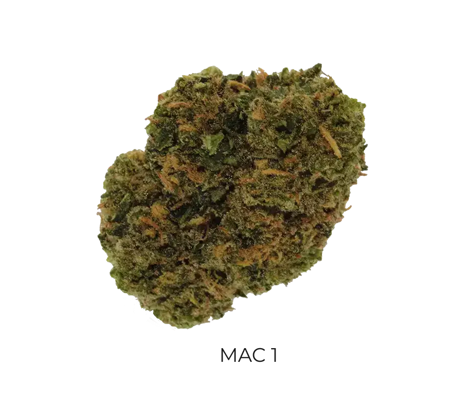 Mac 1 thca flower - Cheef Botanicals