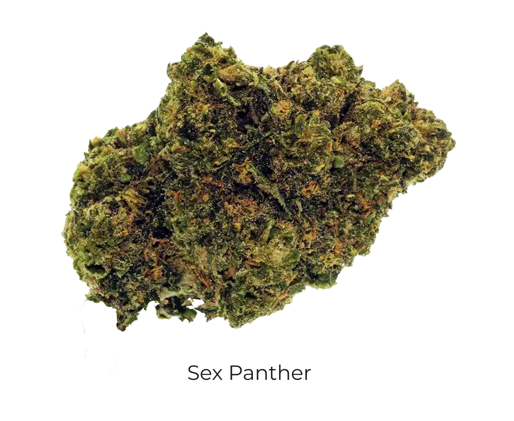 Sex Panther THCa Flower - Cheef Botanicals
