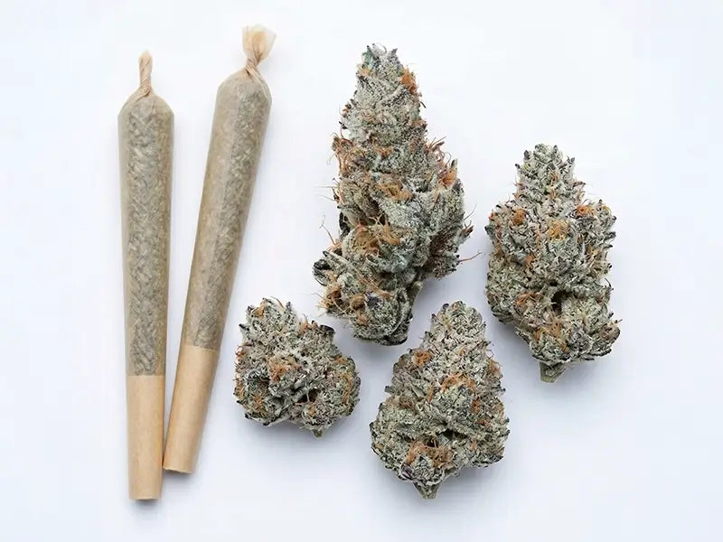 Why Choose THCa Pre Rolls?