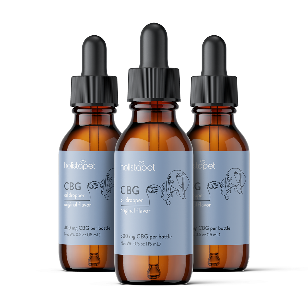 CBG Oil for Dogs and Cats - HolistaPet