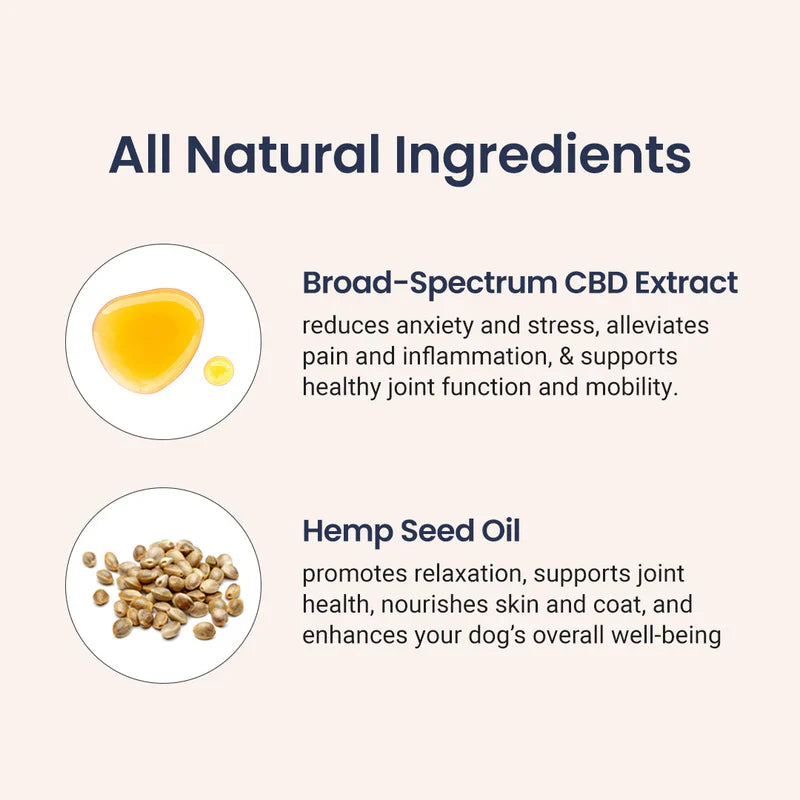Broad Spectrum CBD Oil for Dogs - Holistapet