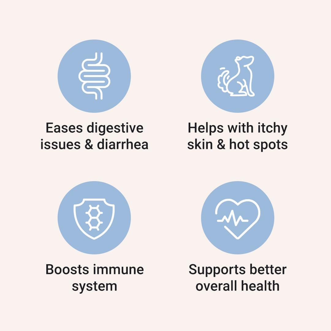 Probiotics For Dogs [Soft Chews] - HolistaPet