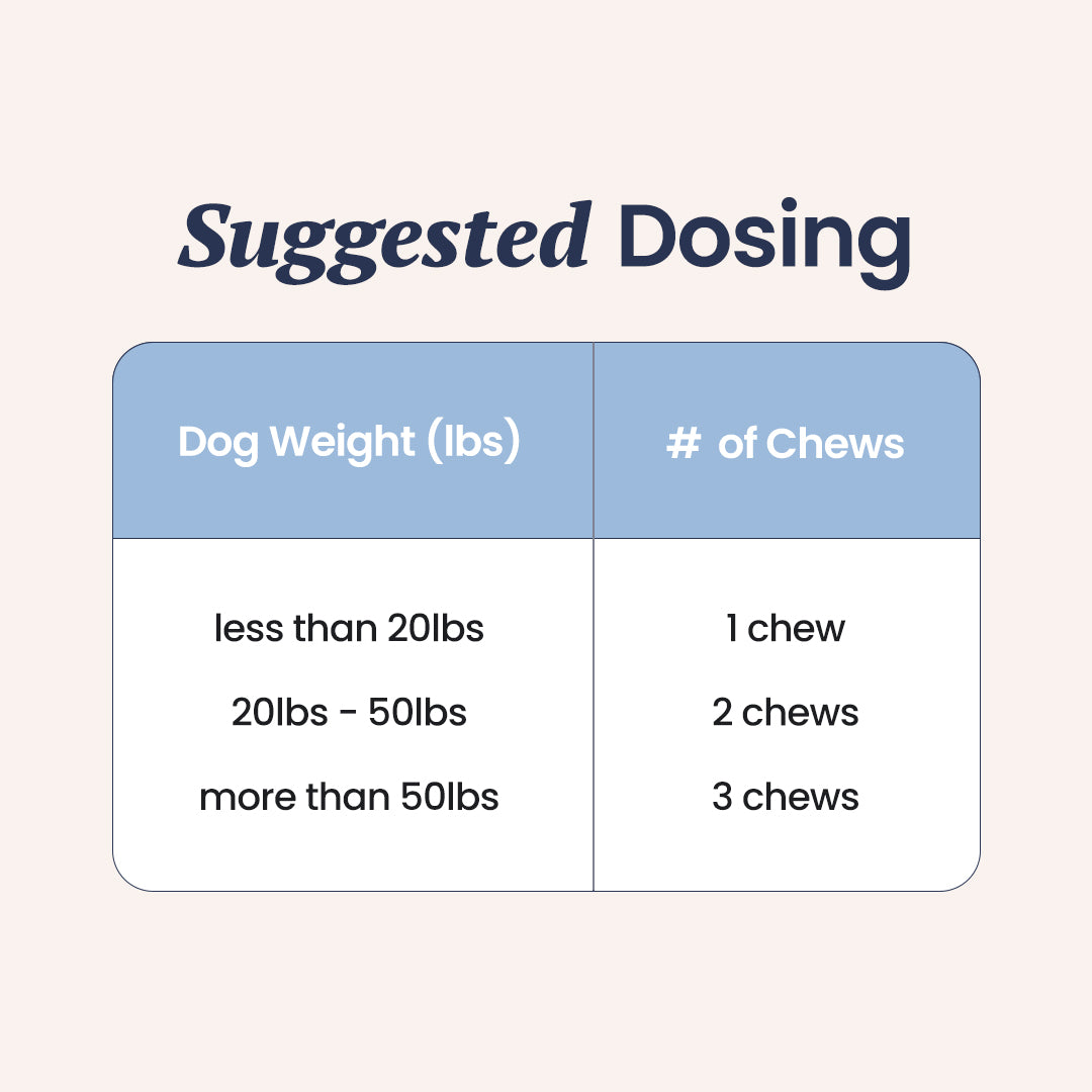 Probiotics For Dogs [Soft Chews] - HolistaPet