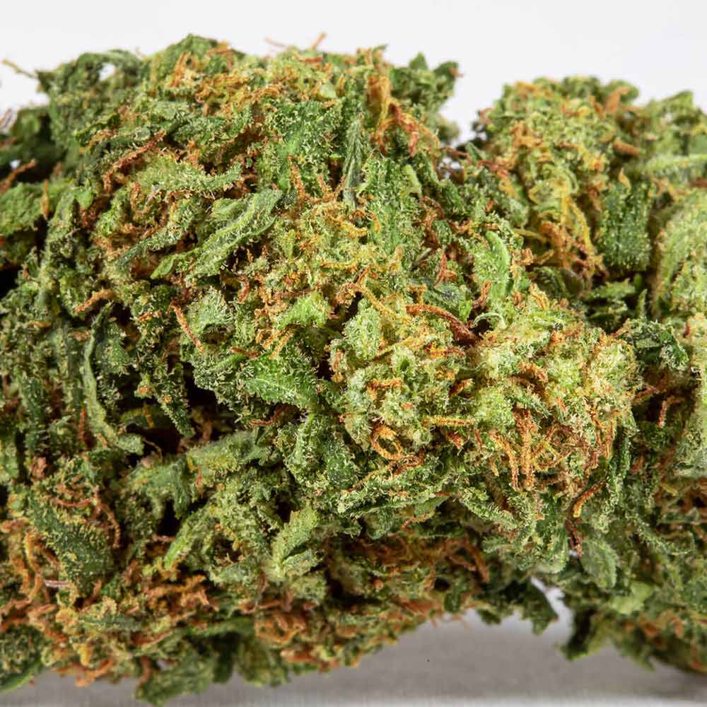 CBD Flower Pre Rolls skywalker og closeup