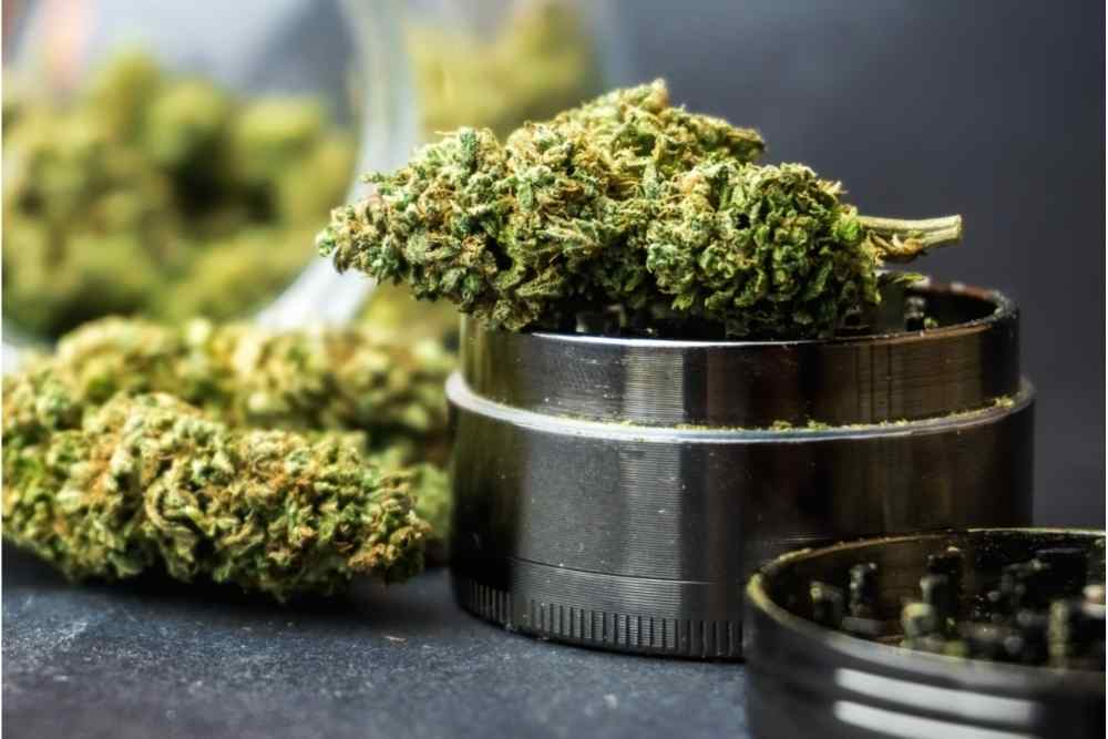 How To Identify Premium Quality CBD Buds