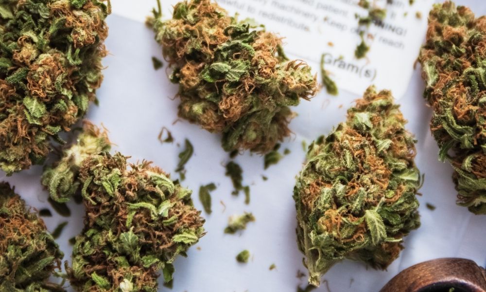 How To Choose The Best CBD Flower Strains?