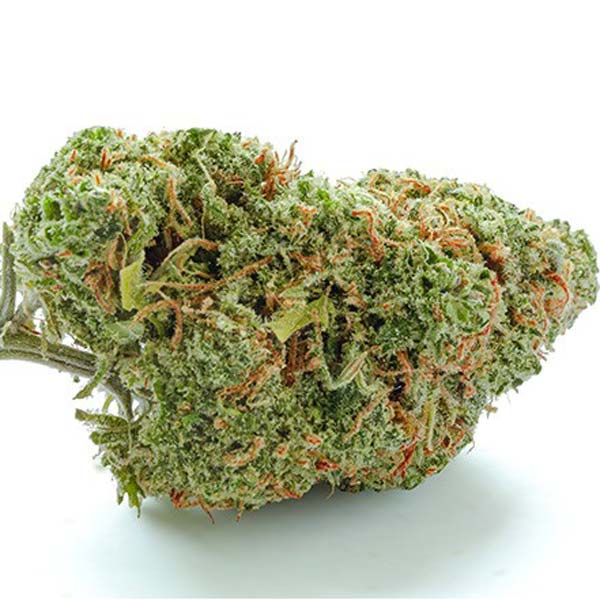 Green crack bud white background