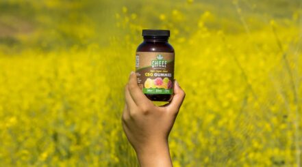 Why Should I Buy Cheef Botanicals Live Resin Gummies?