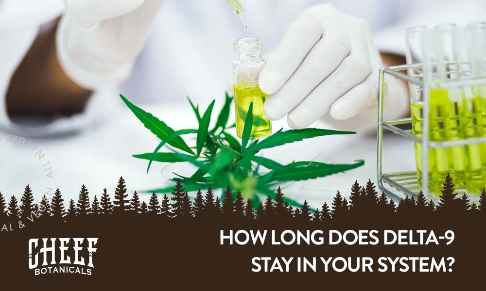 How Long Does It Take To Feel The Effects Of Delta 9 Products?