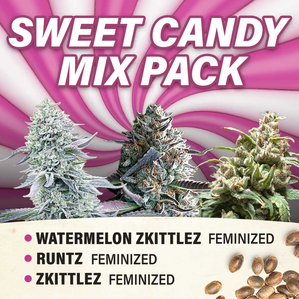 Sweet Candy Mix Pack Feminized