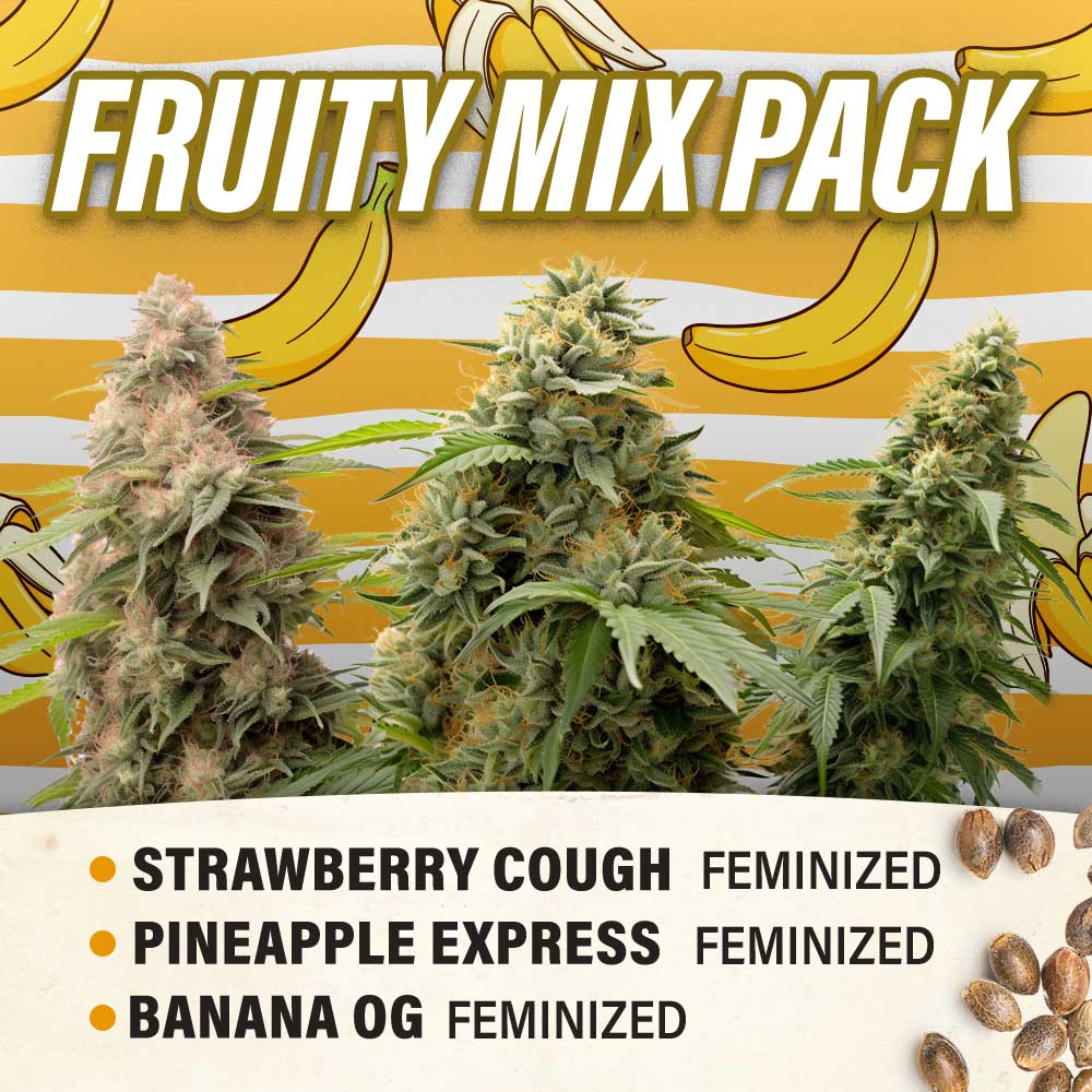 Fruity Mix Pack Feminized