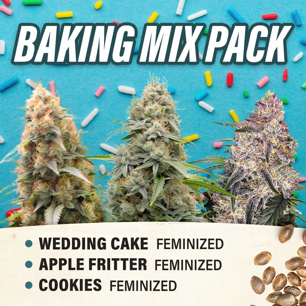 Baking Mix Pack - Feminized - Fly High Seeds