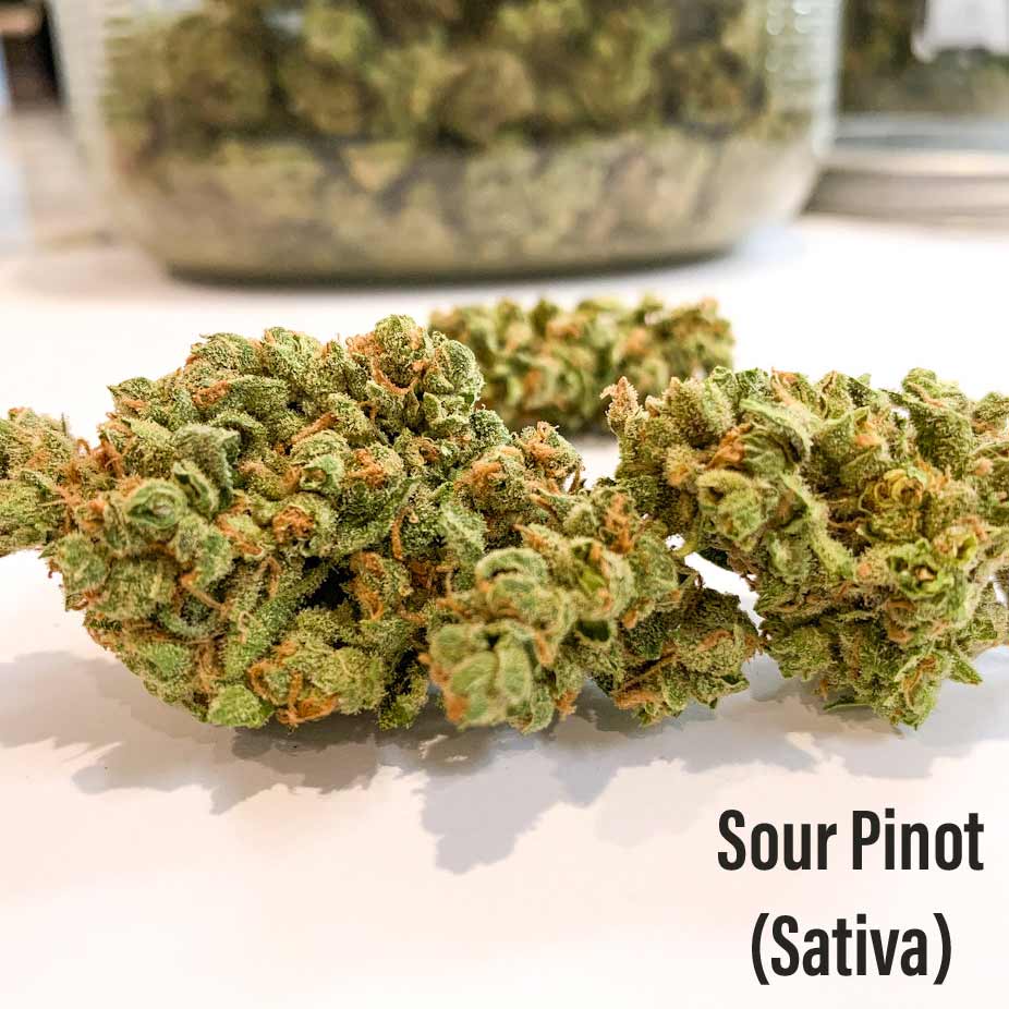 Sour Pinot Seeds CBM-CBM-AUToflower - Fly High Seeds