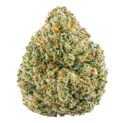 Space Junkie THCa Flower - Good Value